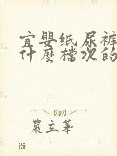 宜婴纸尿裤属于什么档次的品牌