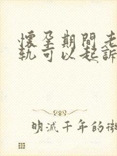 怀孕期间老公出轨可以起诉离婚吗