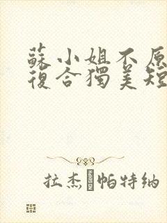 苏小姐不原谅不复合独美短剧