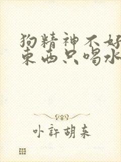 狗精神不好不吃东西只喝水