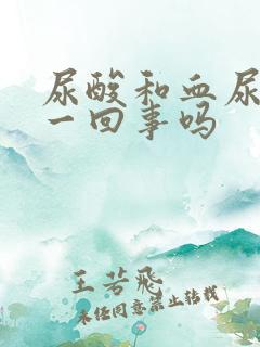 尿酸和血尿酸是一回事吗