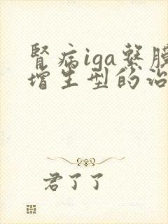 肾病iga系膜增生型的治疗