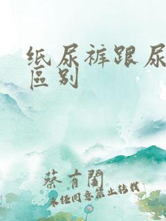 纸尿裤跟尿片的区别