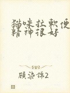 猫咪拉软便但是精神很好