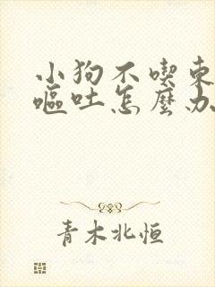 小狗不吃东西还呕吐怎么办