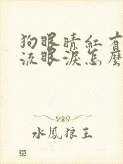 狗眼睛红有眼屎流眼泪怎么回事