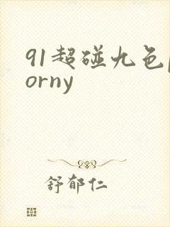 91超碰九色porny