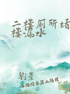 二楼厕所堵了一楼漏水