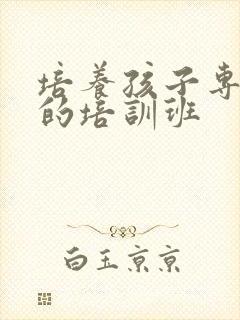 培养孩子专注力的培训班