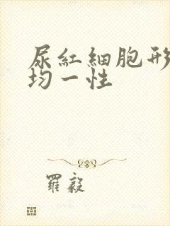 尿红细胞形态非均一性