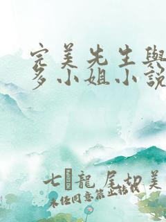 完美先生与差不多小姐小说