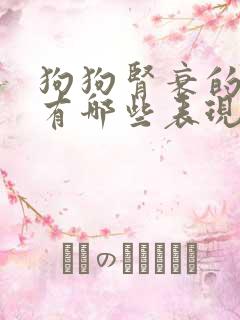 狗狗肾衰的症状有哪些表现