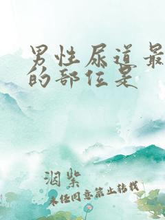 男性尿道最狭窄的部位是