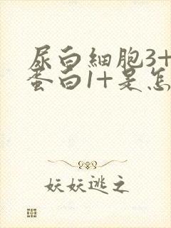 尿白细胞3+尿蛋白1+是怎么回事