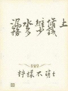 漏水维修上门服务多少钱