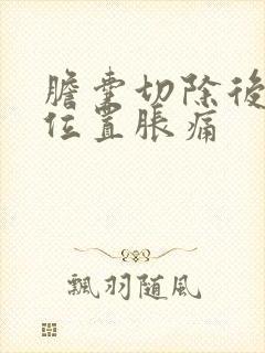 胆囊切除后胆囊位置胀痛