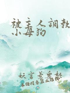 被主人调教跪趴小母狗