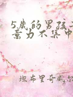 5岁的男孩子注意力不集中怎么办