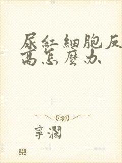 尿红细胞反复升高怎么办