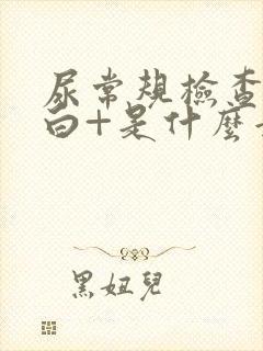 尿常规检查尿蛋白+是什么意思