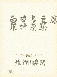 白带多豆腐渣状用什么药