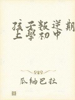 孩子叛逆期不想上学初中