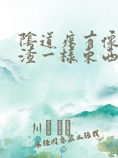 阴道痒有像豆腐渣一样东西