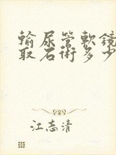 输尿管软镜碎石取石术多少钱