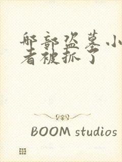 哪部盗墓小说作者被抓了