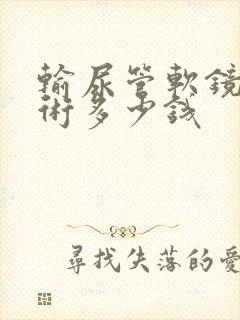 输尿管软镜取石术多少钱