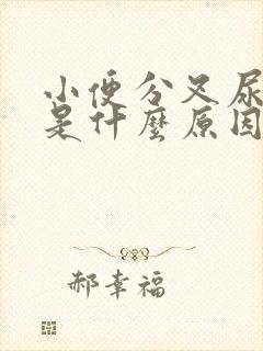 小便分叉尿无力是什么原因