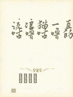 流浪猫一直发出咕噜咕噜的声音