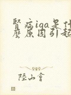 肾病iga是什么原因引起的