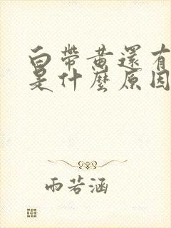 白带黄还有味道是什么原因