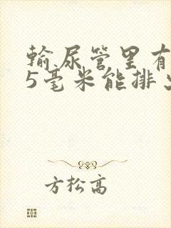 输尿管里有结石5毫米能排出吗