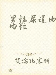 男性尿道内有小肉粒