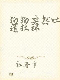 狗狗突然吐黄水还拉稀