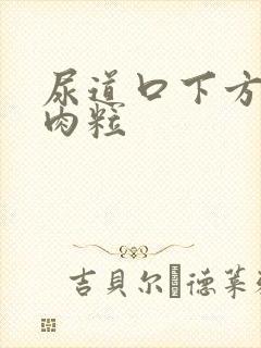 尿道口下方有小肉粒