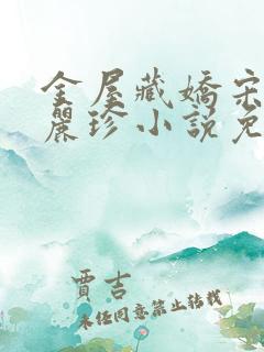 金屋藏娇宋阳陈丽珍小说免费阅读