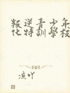 叛逆青少年军事化特训学校