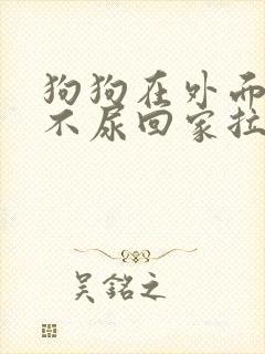 狗狗在外面不拉不尿回家拉尿怎么办