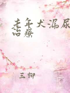 老年犬漏尿怎么治疗