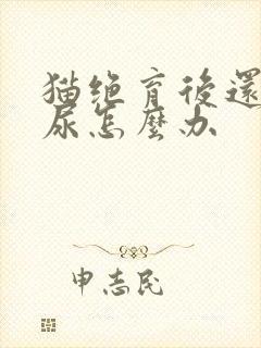 猫绝育后还会乱尿怎么办