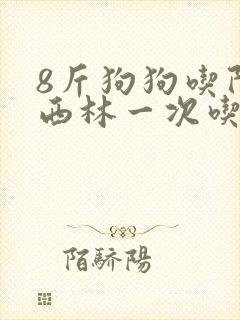 8斤狗狗吃阿莫西林一次吃多少