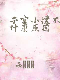 子宫小怀不上是什么原因