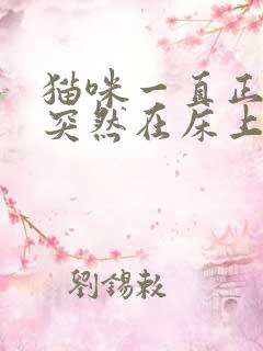 猫咪一直正常尿突然在床上尿