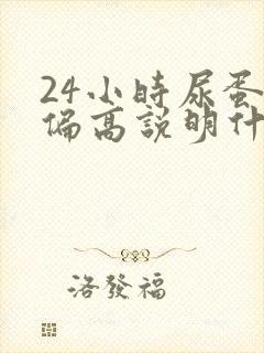 24小时尿蛋白偏高说明什么问题