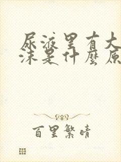 尿液里有大量泡沫是什么原因