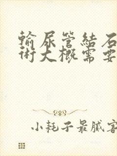 输尿管结石动手术大概需要多少钱