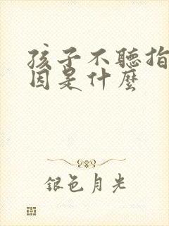 孩子不听指令原因是什么